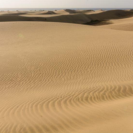 Comprender antes de visitar